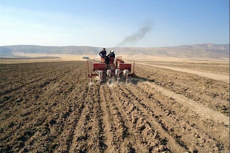 کشاورزان کردستانی در انجام کشت پاییزه تعجیل کنند