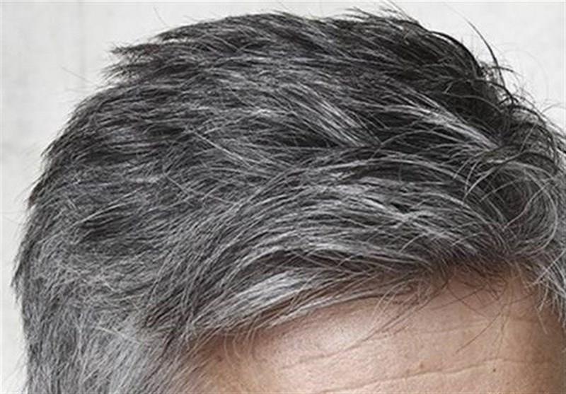 وزیر ارشاد: کاغذ در لیست کالاهای اساسی قرار گرفت