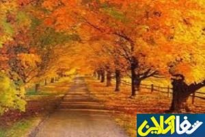 در فصل پاییز این دانستنیهای پزشکی را دریابید!