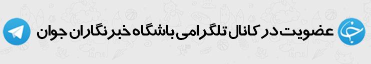 قیمت انواع مرغ بسته بندی + جدول