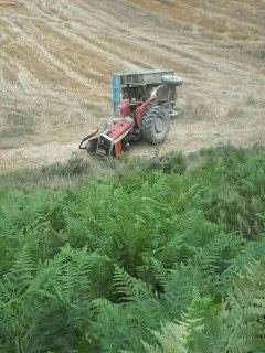 مرگ طلبه نکایی بر اثر واژگونی تراکتور