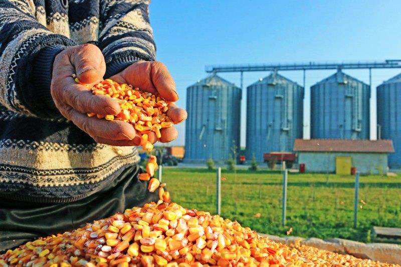 وزیر کشاورزی: راه حذف دلالان، ایجاد زنجیره تولید نهاده هاست