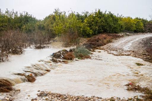 خسارت  ۳۶۰ میلیارد ریالی سیل به کشاورزی استان بوشهر