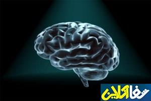 نقش کلسیم در حافظه و توانایی شناختی