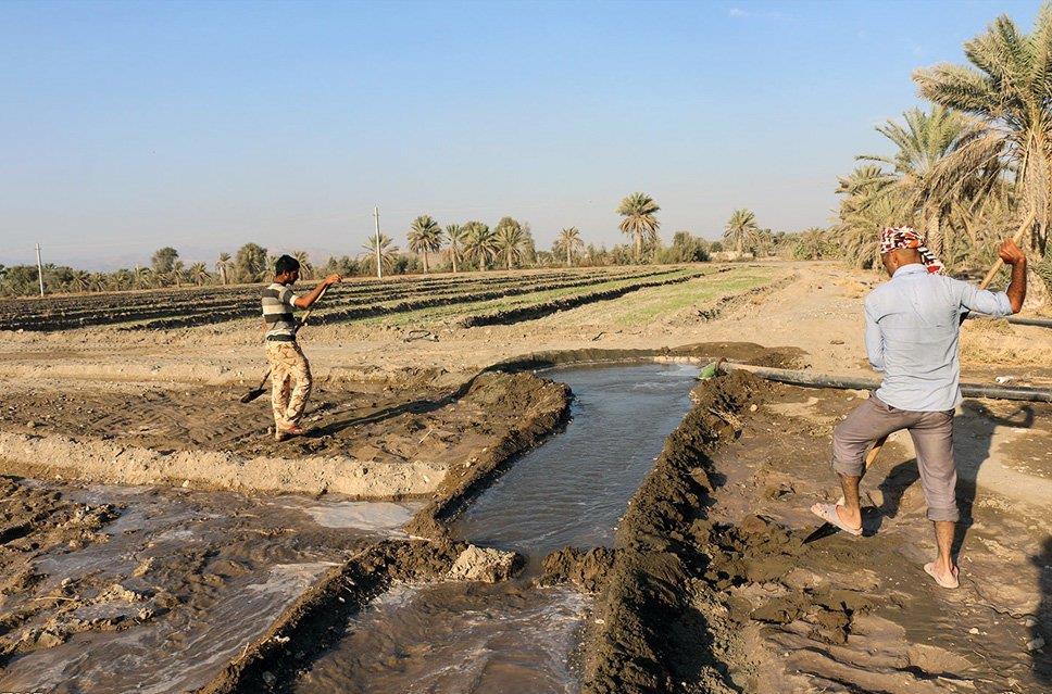 آبیاری غرقابی ممنوع!