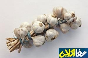 مادران شیرده سیر خام بخورند