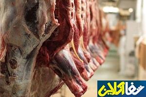 پروتئین گوشت قرمز موجب چاقی می شود؟