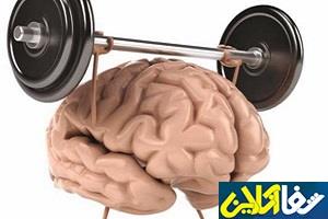 غذاهایی که باعث ضعیف شدن مغز می‌شود!
