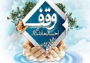 آذربایجان غربی ۴۱ هزار رقبه دارد