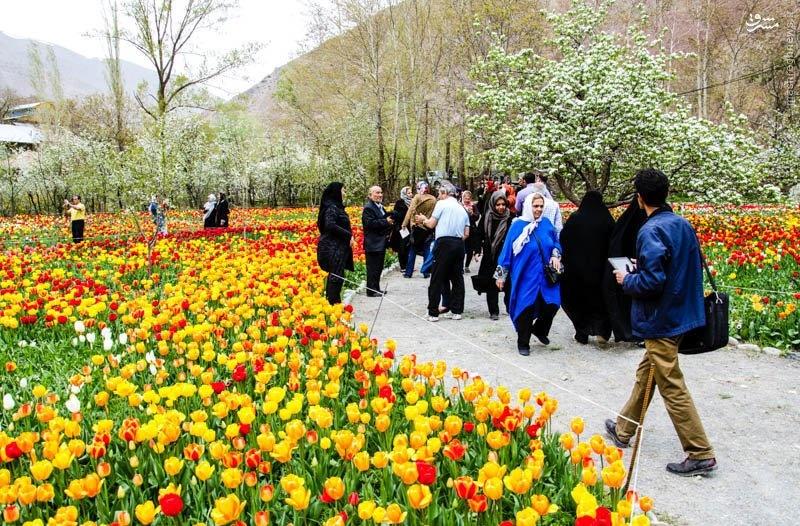 گردشگری سلامت ، کشاورزی و ورزشی در البرز رونق می گیرد