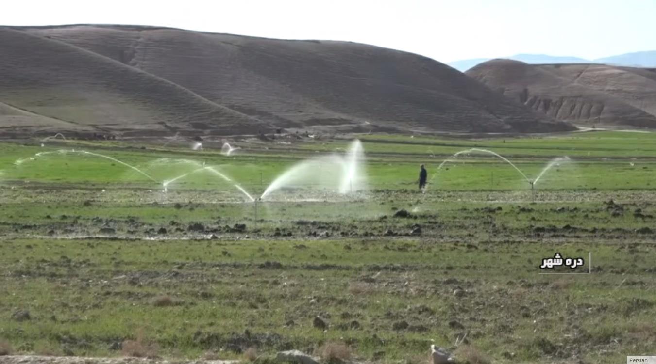 رونق تولید محصولات کشاورزی در شهرستان دره شهر