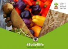 برندگان مسابقه اینستاگرامی soils4life#  مشخص شدند + عکس های برگزیده